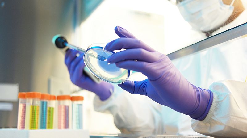 Madrid estudia si hay vínculo entre los casos de viruela del mono de la capital y Canarias