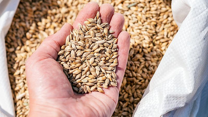 Las altas temperaturas y la guerra de Ucrania provocan una escalada en el precio del pan