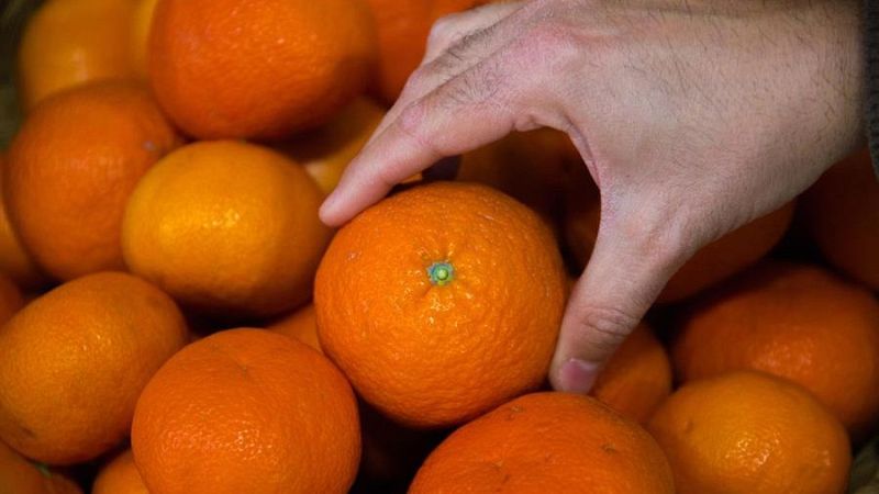 La Unión Europea valida el tratamiento en frío de los cítricos