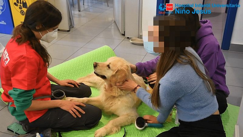 El perro, el mejor amigo en la lucha contra la anorexia y bulimia