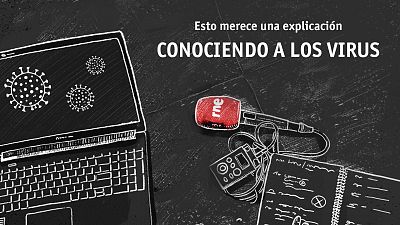 Esto merece una explicación: conociendo a los virus