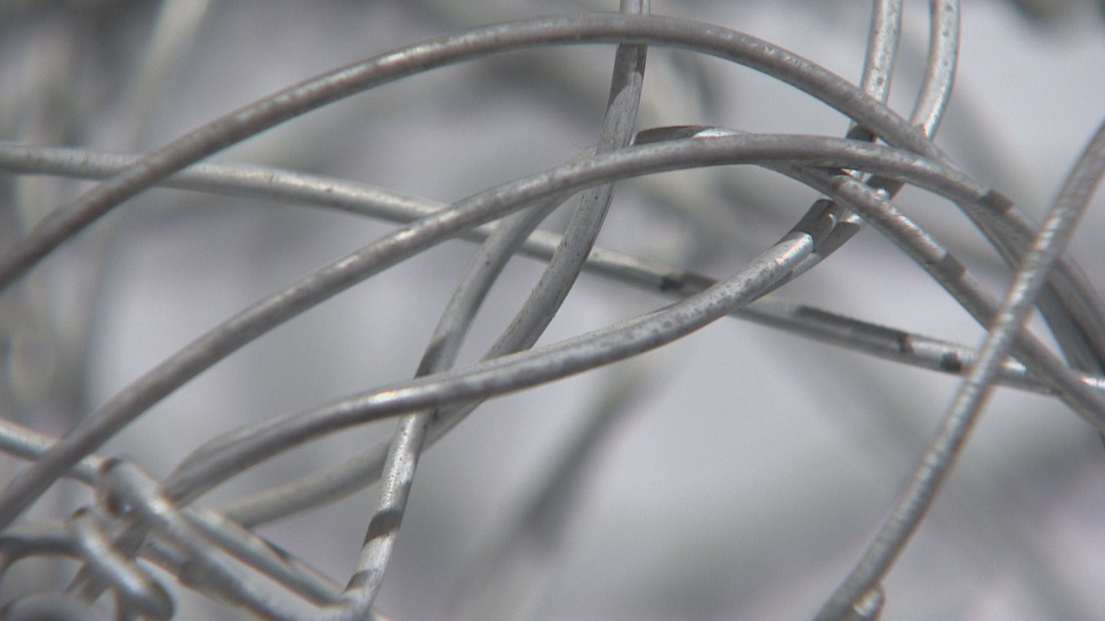 Exposición: "Lactitud" - Ver ahora