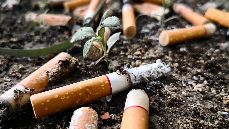 El precio medioambiental del tabaco: toneladas de colillas, microplásticos y deforestación
