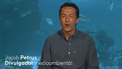 RTVE lanza 'Por un planeta mejor', una campaa en defensa del medioambiente