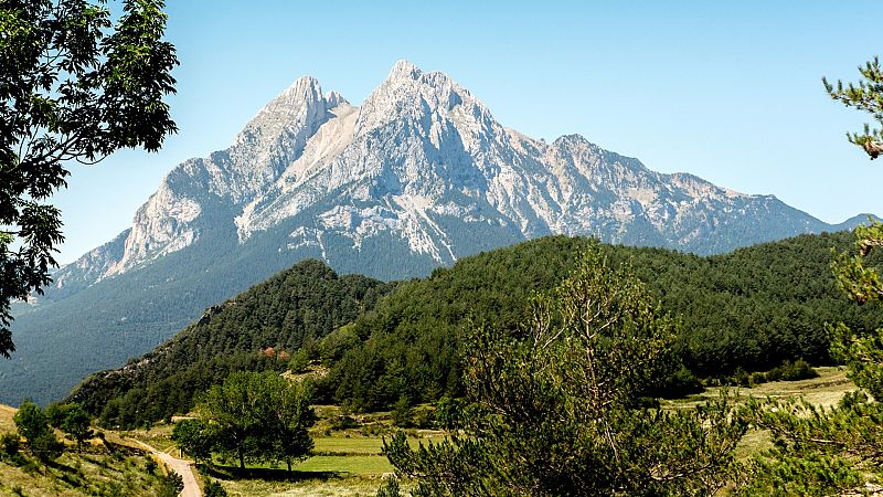 Dia del Medi Ambient: gestos quotidians i iniciatives per protegir el planeta