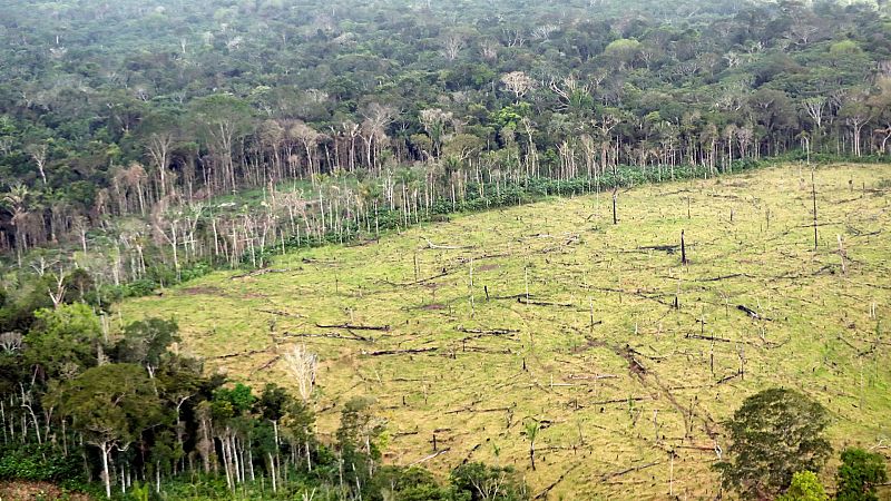 Suspenso en acción climática: "El planeta nos está avisando de que hay problemas y no debemos ignorarlos"