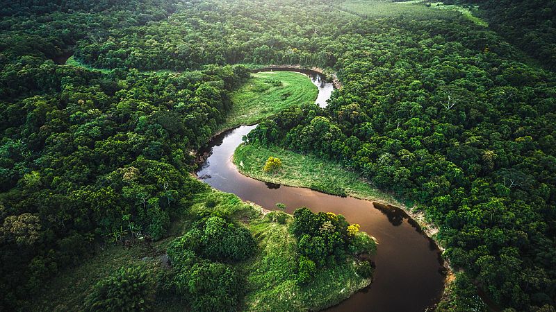 Los 7 mejores documentales de medio ambiente que puedes ver gratis y online en RTVE Play