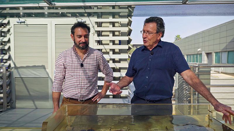 Carlos Duarte, eminencia de la oceanografía: "La mayor amenaza es pensar que los océanos no tienen solución"