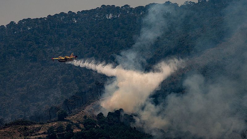 Estabilizado el incendio de Sierra Bermeja tras arder 3.000 hectáreas