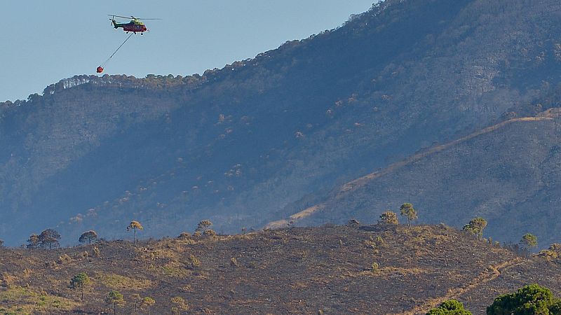 El viento dificulta las tareas para controlar el incendio en Sierra Bermeja