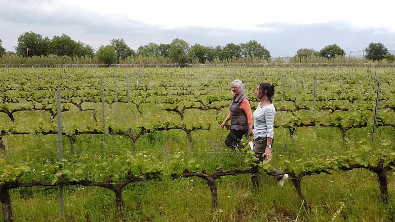 El programa de El Escarabajo Verde 'Suelos Vivos', Premio Rey de Espaa de Periodismo Ambiental 2023