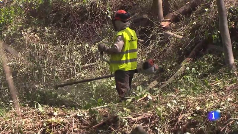 Incendis forestals: Catalunya, en alerta per alt risc d'incendi