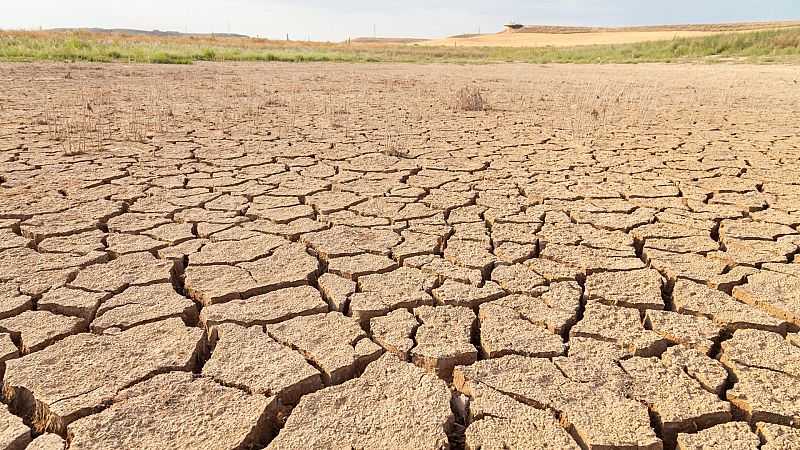 Causas, consecuencias y posibles soluciones contra la desertificación
