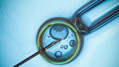 Las cuñas de RNE - Infertilidad: una enfermedad con 80 millones de afectados, en 'Memoria de delfín' - escuchar ahora