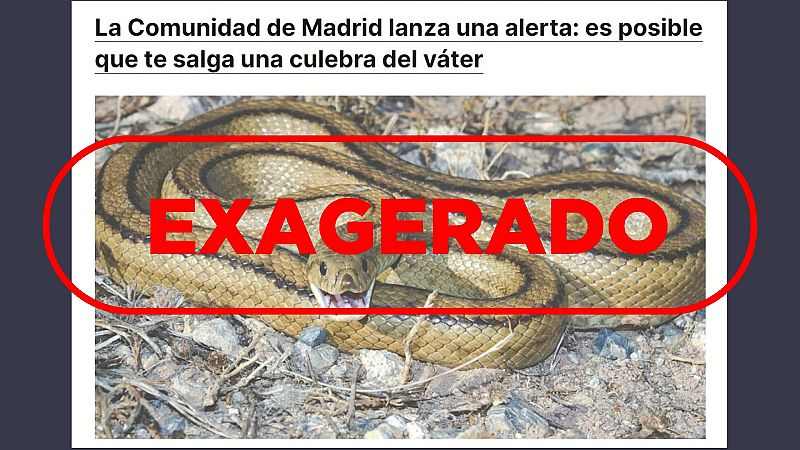 No hay alerta de la Comunidad de Madrid sobre aparición de culebras en el váter