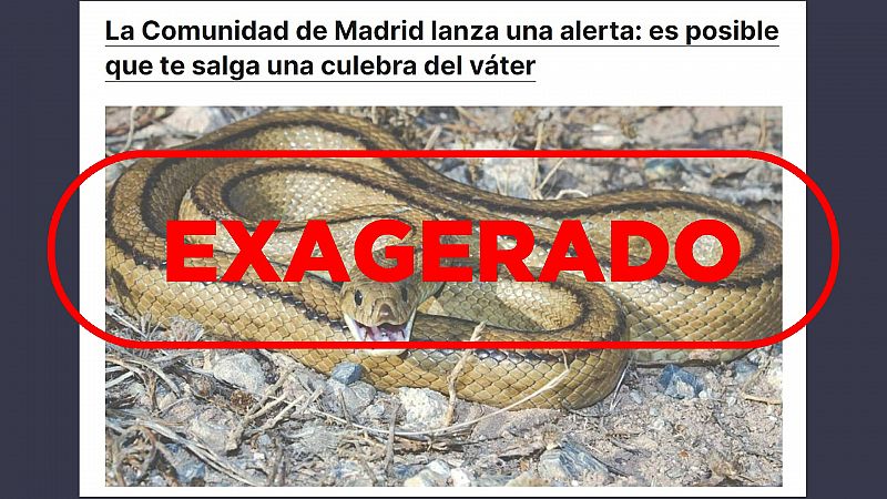 No hay alerta de la Comunidad de Madrid sobre aparición de culebras en el váter