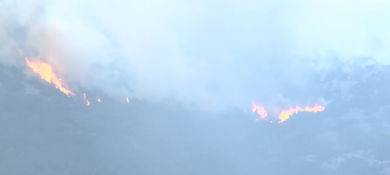 Estabilizado el incendio en la Sierra de Leyre
