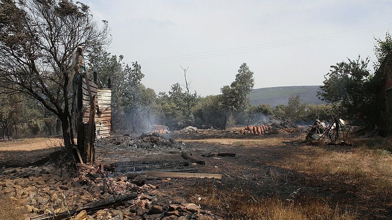 Arden 11.000 hectáreas en el incendio de Zamora y preocupan otros en Cataluña, Zaragoza y Navarra