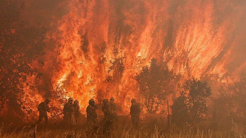 El incendio de Zamora quema ya 25.000 hectáreas, corta el AVE y afecta a vecinos de 20 localidades