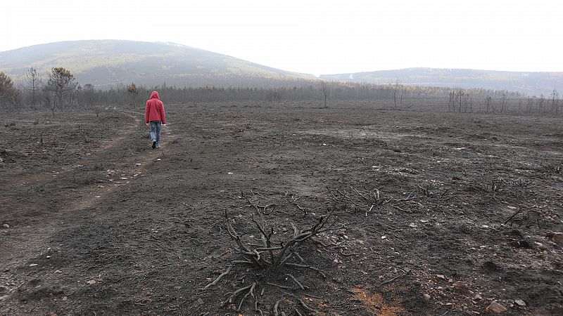 Estabilizado el incendio de Sierra de la Culebra, en Zamora, el mayor registrado en España en este siglo