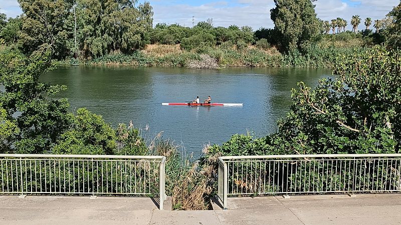 Encuentran el cadáver de una mujer desaparecida en Sevilla y detienen a su expareja
