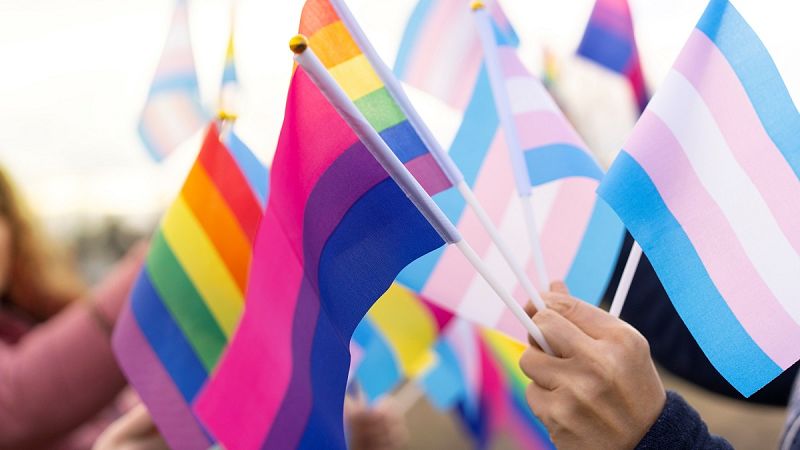 Què signifiquen les lletres LGTBIQ+?