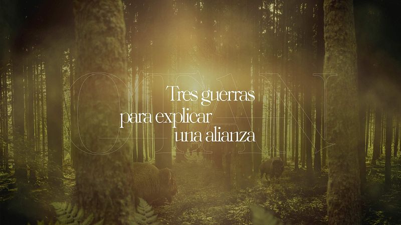 'OTAN: Tres guerras para explicar una alianza', un proyecto del Lab RTVE sobre los últimos 30 años de la Alianza