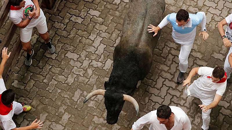 San Fermín 2022: los toros para el primer encierro de Sanfermines ya están en Pamplona