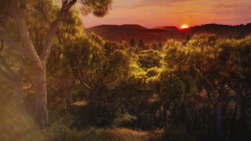 RTVE lanza una campaa por un verano ms responsable