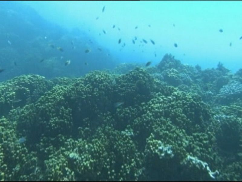 A CE veta a pesca de fondo en 94 �reas de ecosistemas vulnerables en augas de Espa�a, Francia, Irlanda e Portugal