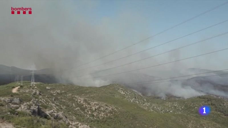 Denunciades dues persones pels incendis del juny al Garraf