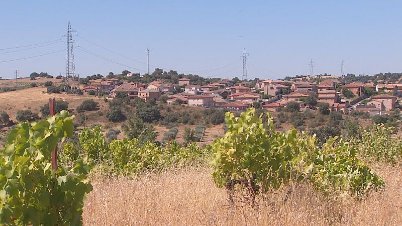 Las plantas fotovoltaicas, ¿energía limpia contra los pueblos?