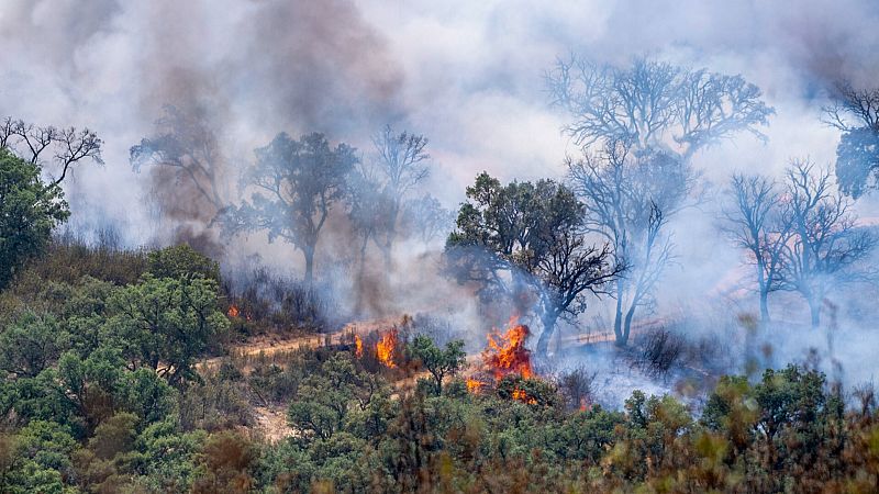 El viento y las altas temperaturas complican la extinción del fuego en Monfragüe, que sigue descontrolado