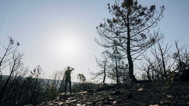 Los vecinos afectados por el incendio del Jerte: "Todo va a quedar destrozado, va a ser una ruina"