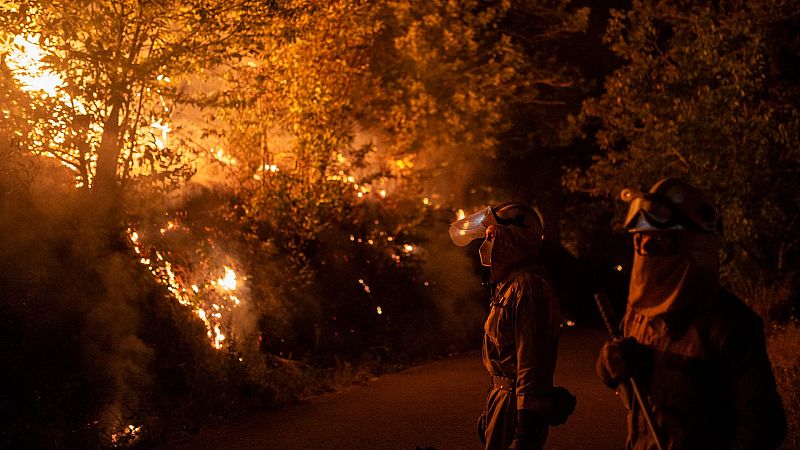 La prevención, clave para frenar unos incendios cada vez más destructivos: "Esto es un tráiler de lo que pasará en el futuro"