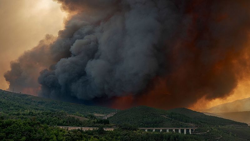 Incendios activos en España, 20 de julio | El fuego arrasa 60.000 hectáreas en solo diez días