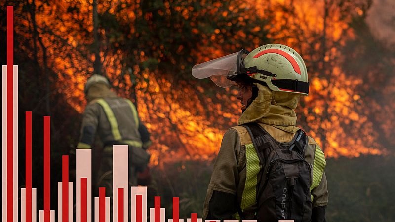 Dos de cada tres hectáreas quemadas en España este año han ardido en las olas de calor