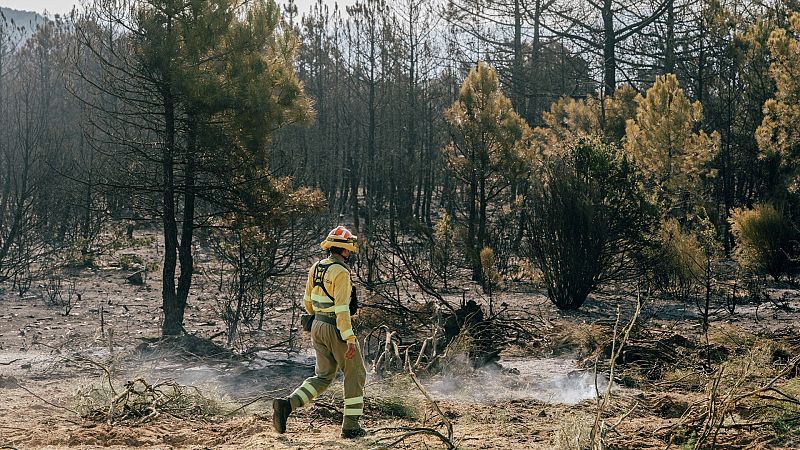 La precaria lucha de los bomberos contra el fuego: "Te contratan tres meses, te pagan 1.000 euros y a la calle"