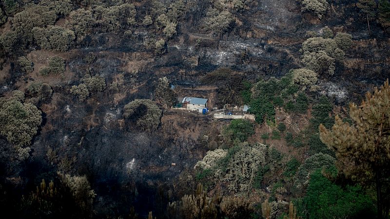 Una empresa de reforestación reconoce que provocó el incendio de Ateca, Zaragoza, por una chispa involuntaria