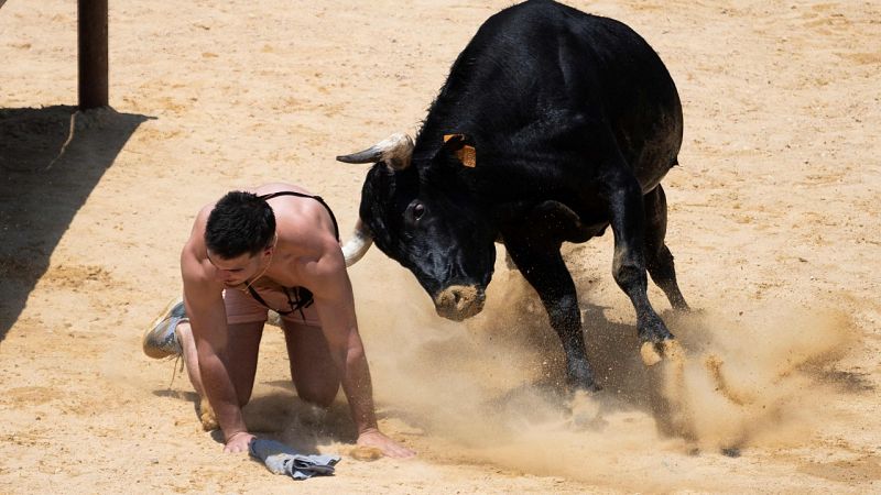 Tres muertos en un día por los festejos taurinos de la Comunidad Valenciana