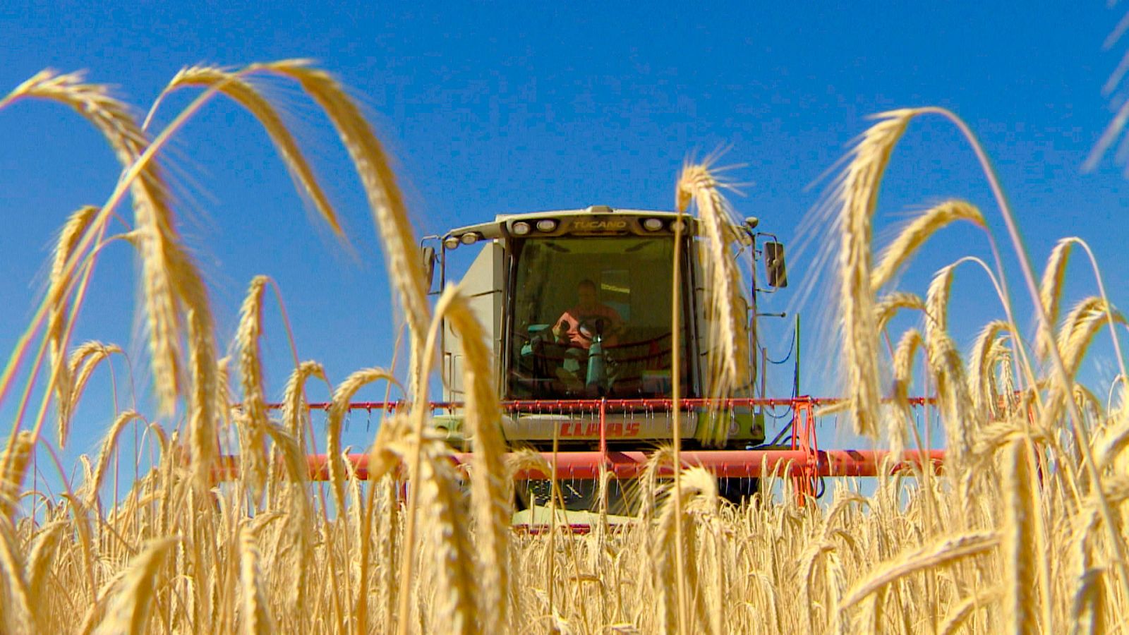 Informe Semanal - La economía que viene - ver ahora