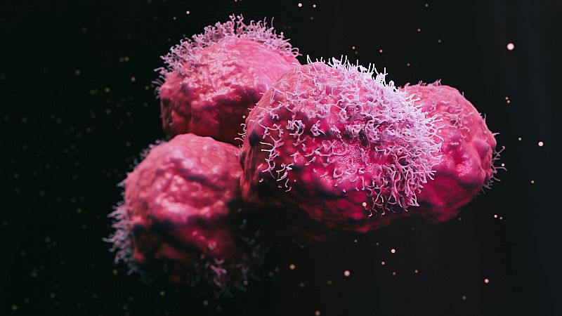 Descubren un "punto débil" de muchos tumores multirresistentes que podría ayudar a combatirlos