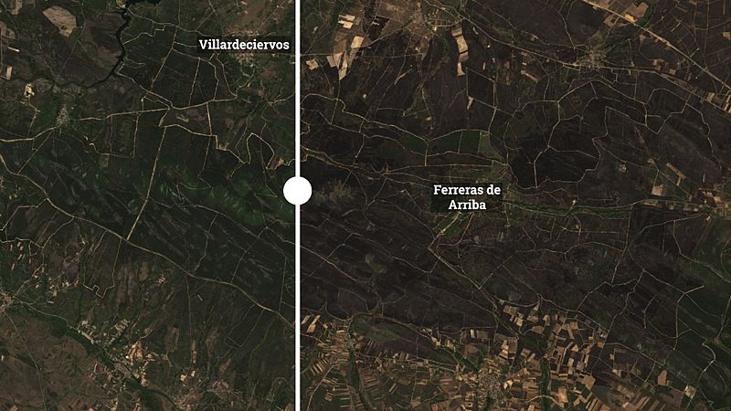 Losacio, Sierra de la Culebra o Ateca: antes, durante y después de los grandes incendios de este verano