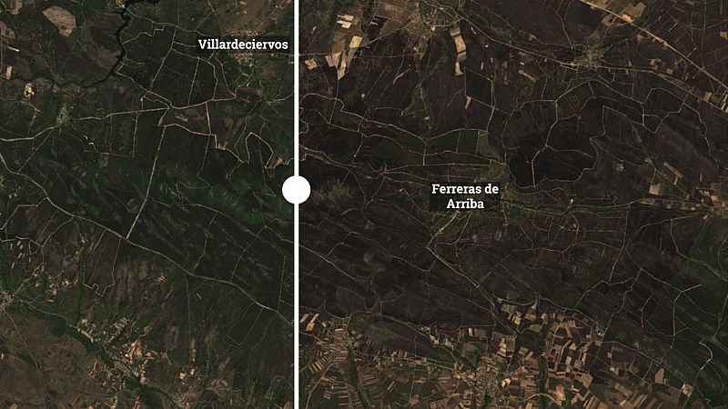 Losacio, Sierra de la Culebra o Ateca: antes, durante y después de los grandes incendios de este verano
