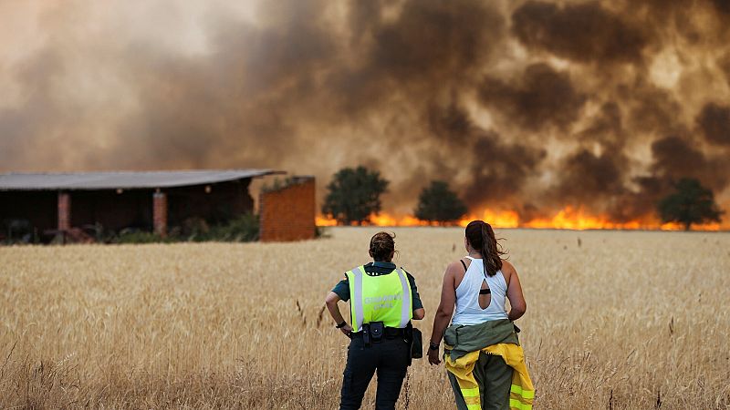 El incendio más grande en dos décadas y casi 200.000 hectáreas quemadas: 2022 ya es el peor año del siglo