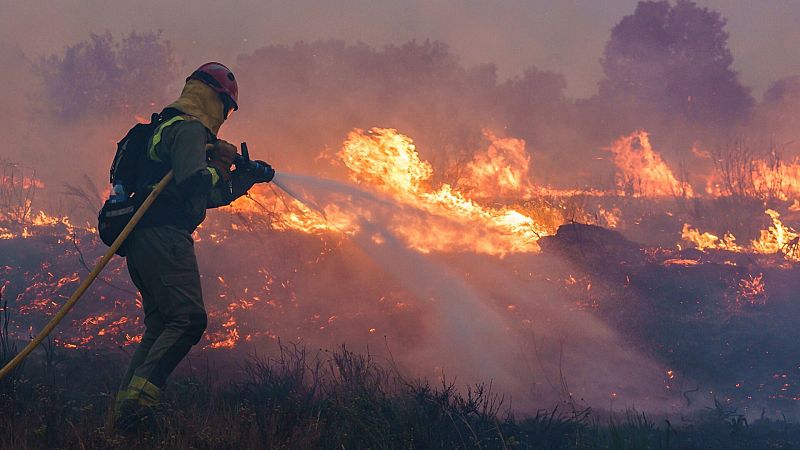 La Fiscalía investiga la actuación del consejero de Medio Ambiente de Castilla y León en el incendio de Zamora