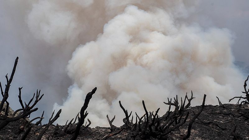 El doble efecto de la contaminación de los incendios: toneladas de gases y menor capacidad para absorberlos