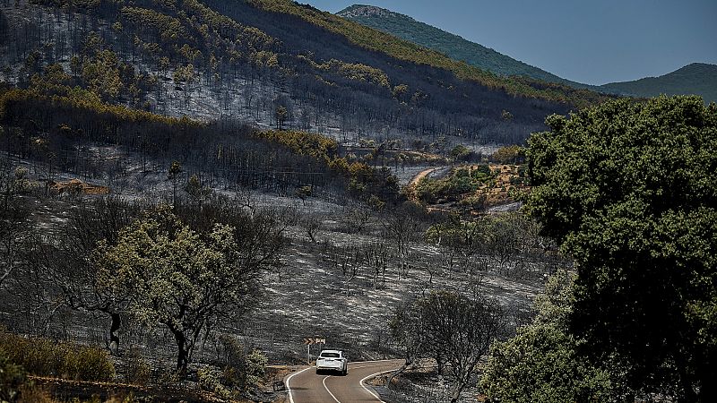 Mejora el incendio de Sevilleja de la Jara, Toledo, y los 300 desalojados vuelven a sus casas