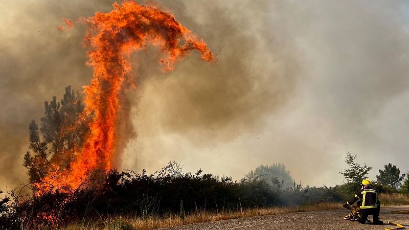 El Gobierno aprueba un Real Decreto para combatir los incendios forestales "todo el año"