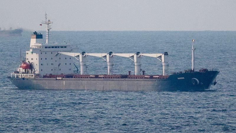 El primer buque con cereal ucraniano autorizado llega a Turquía, donde será inspeccionado
